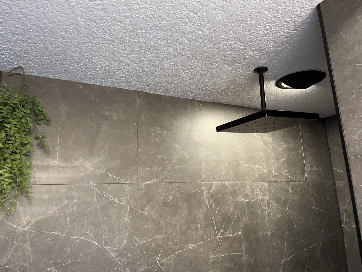 6" Half Moon Shield & Trim Assembly